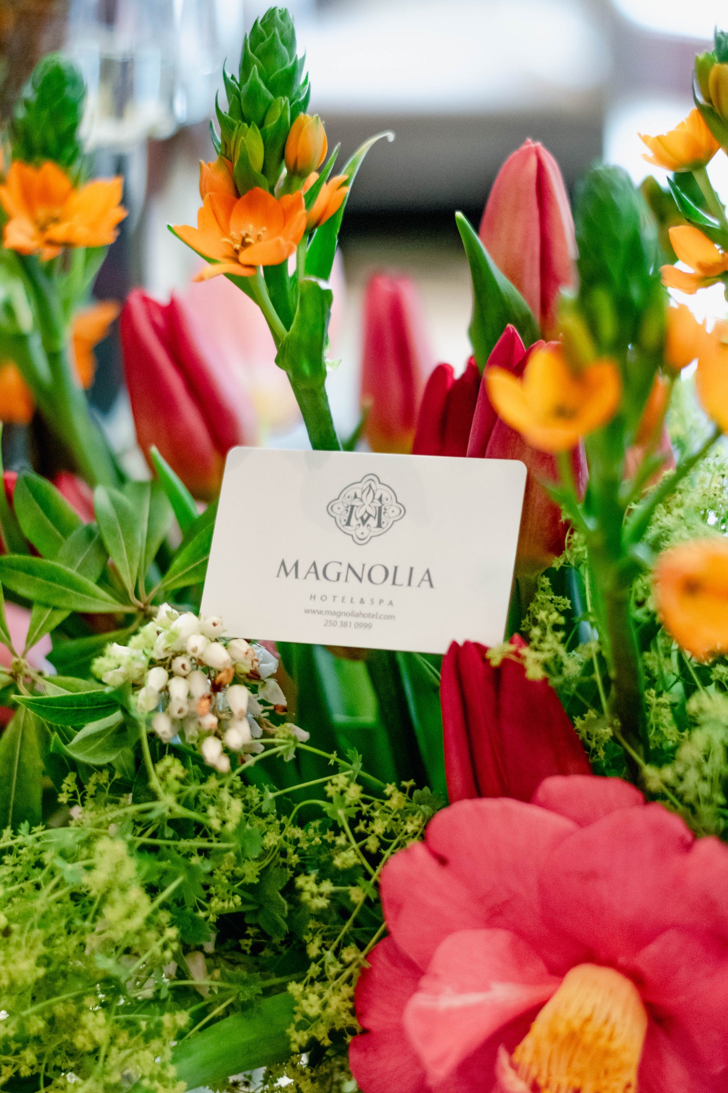 Magnolia Gift Card $500